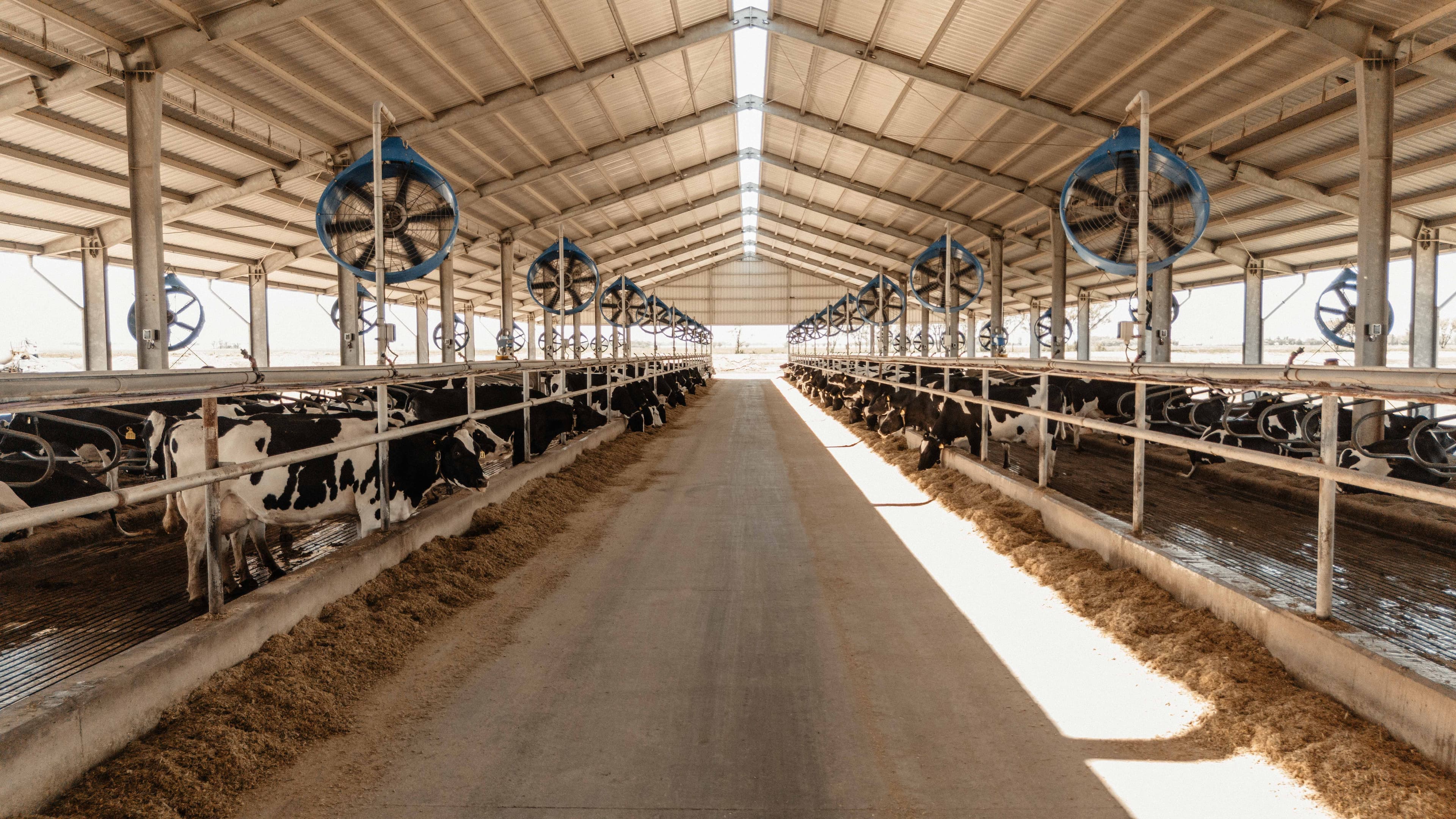 Mareuba S.A. Vivienda 2 - Instalación de canalizaciones, tableros eléctricos y sistemas de protección